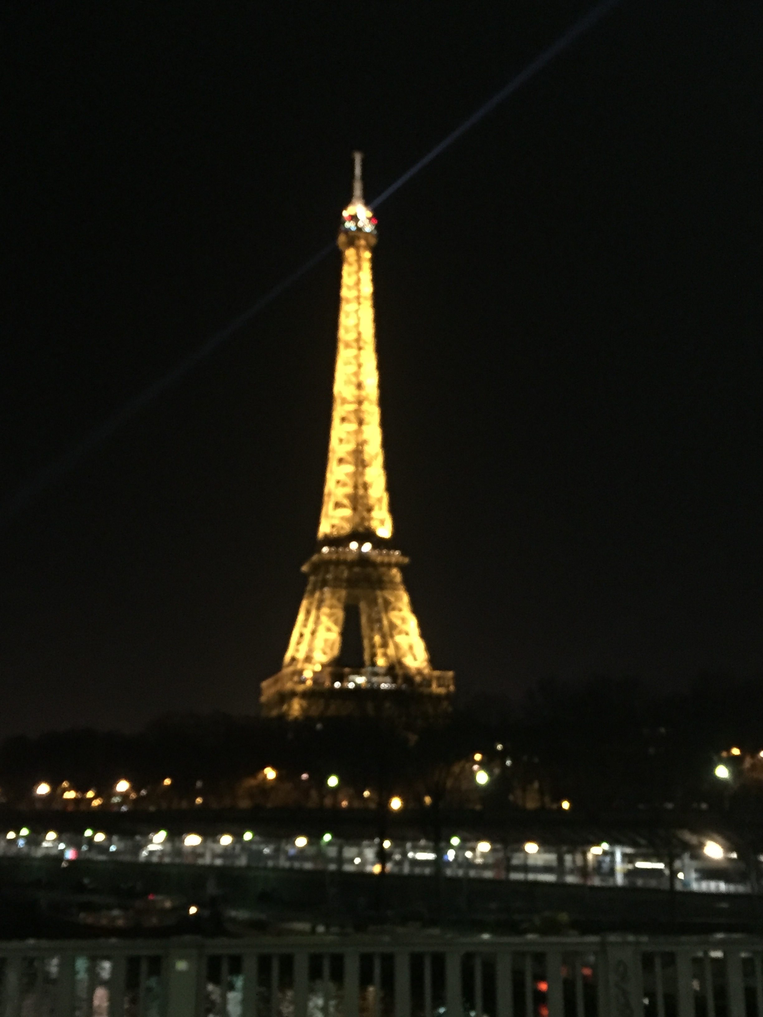 IMG 8908 1 e1512667572992 - Paris:  New Years Extravaganza
