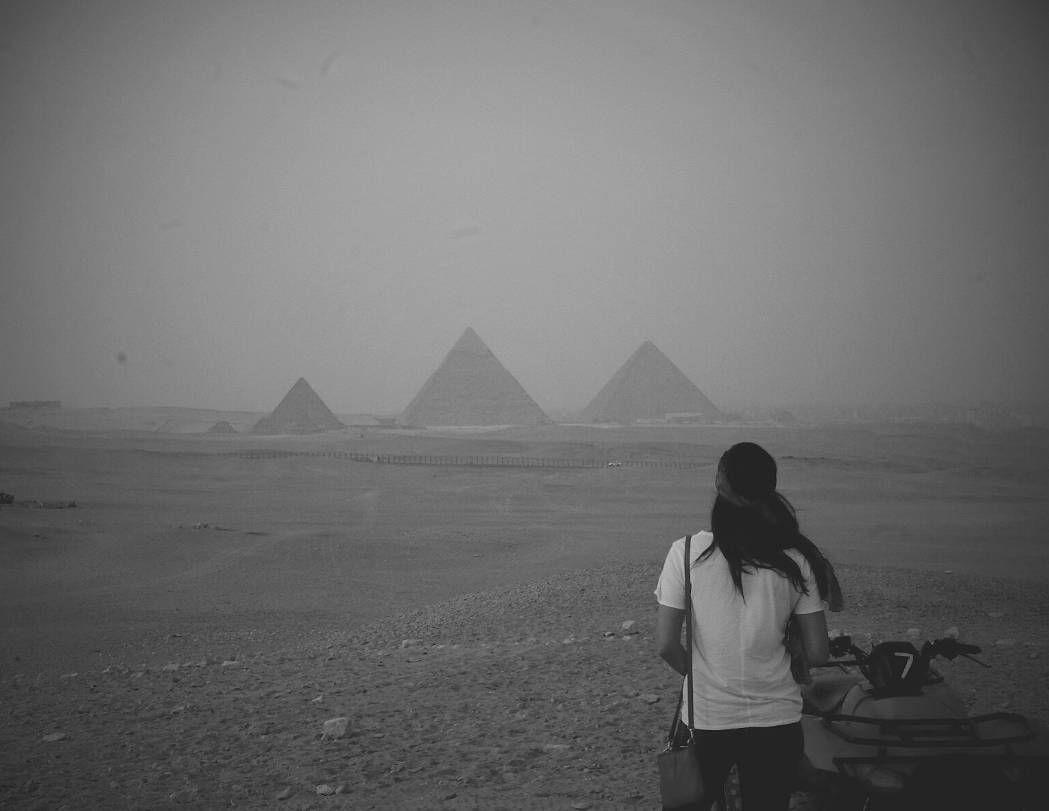 IMG 1966 1 - Exploring Egypt