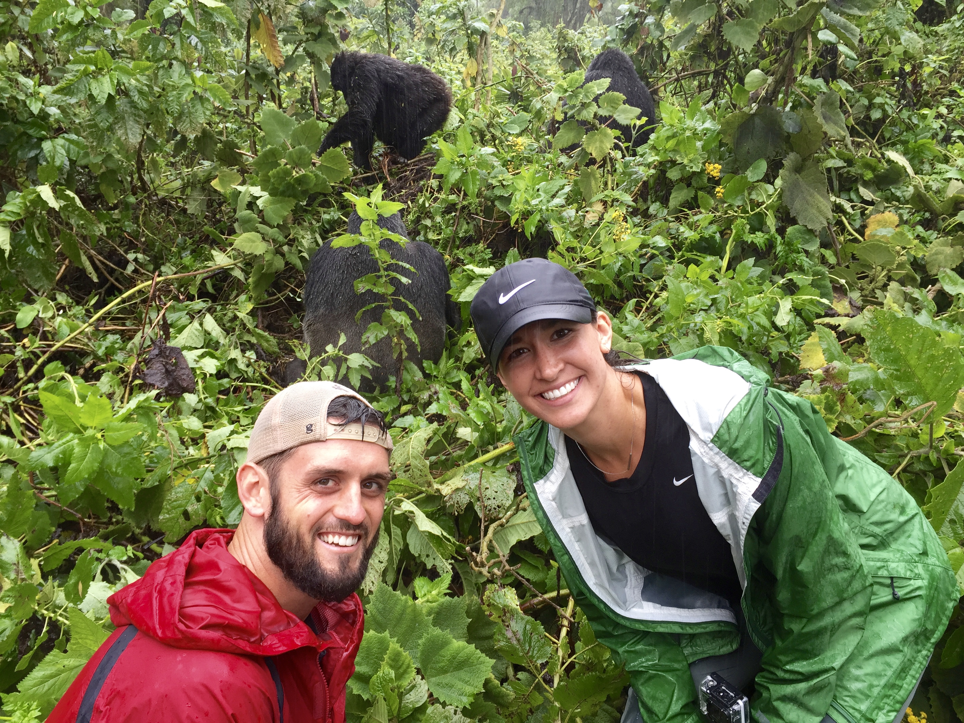 fullsizeoutput 15cb - Gorilla Trekking in Rwanda