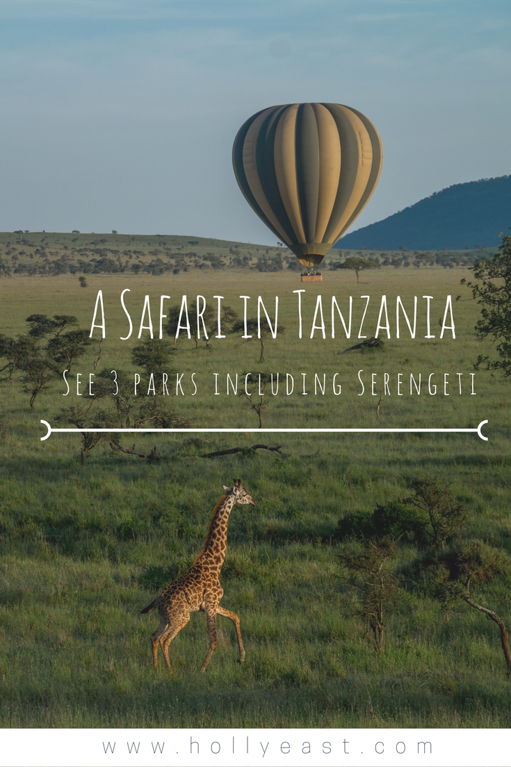 A Travel guide for a - Hakuna Matata in Tanzania