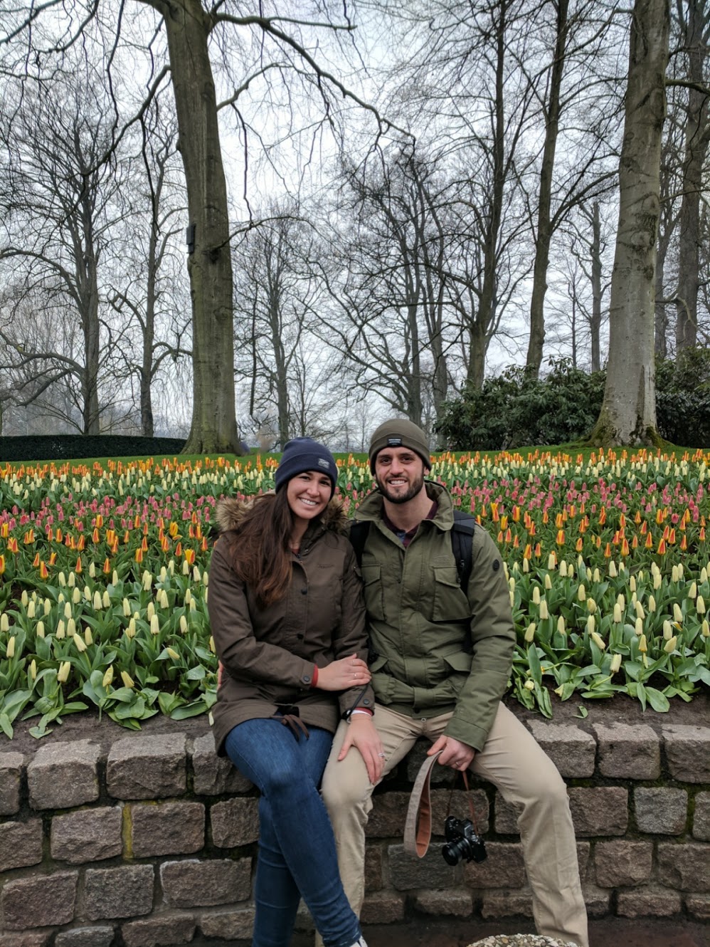 Tulips at Kukenhof Gardens