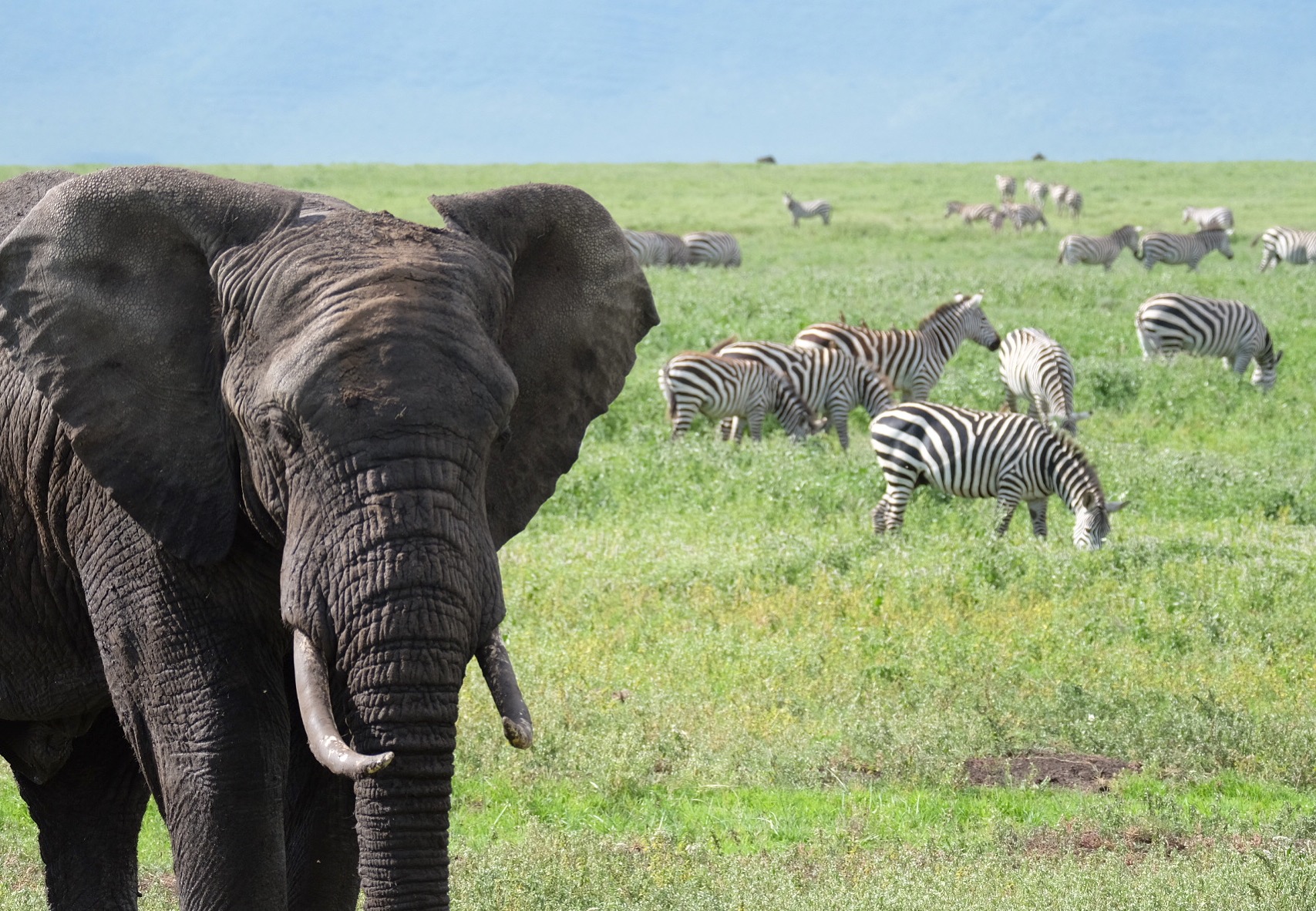 Hakuna Matata in Tanzania